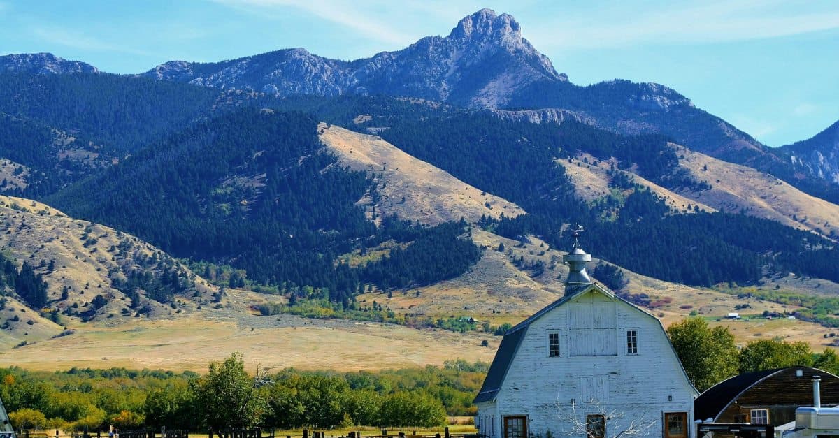 Bozeman