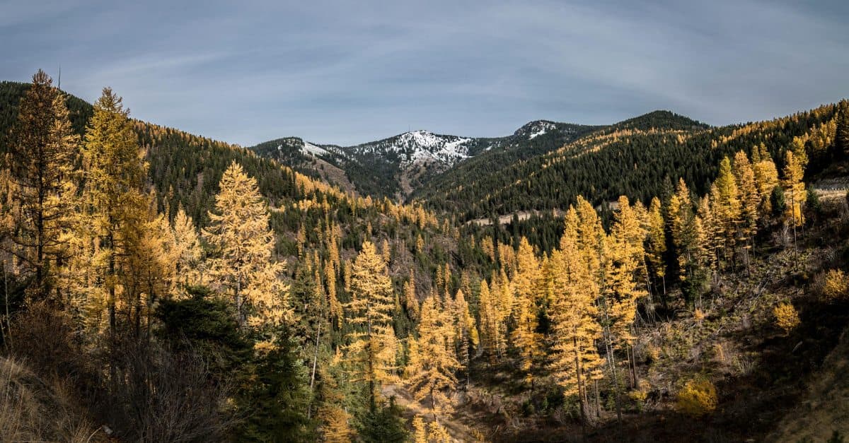 Missoula
