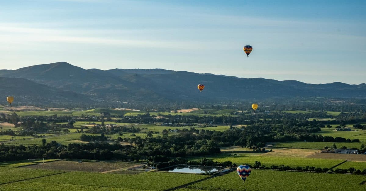 Napa Valley (Santa Rosa)