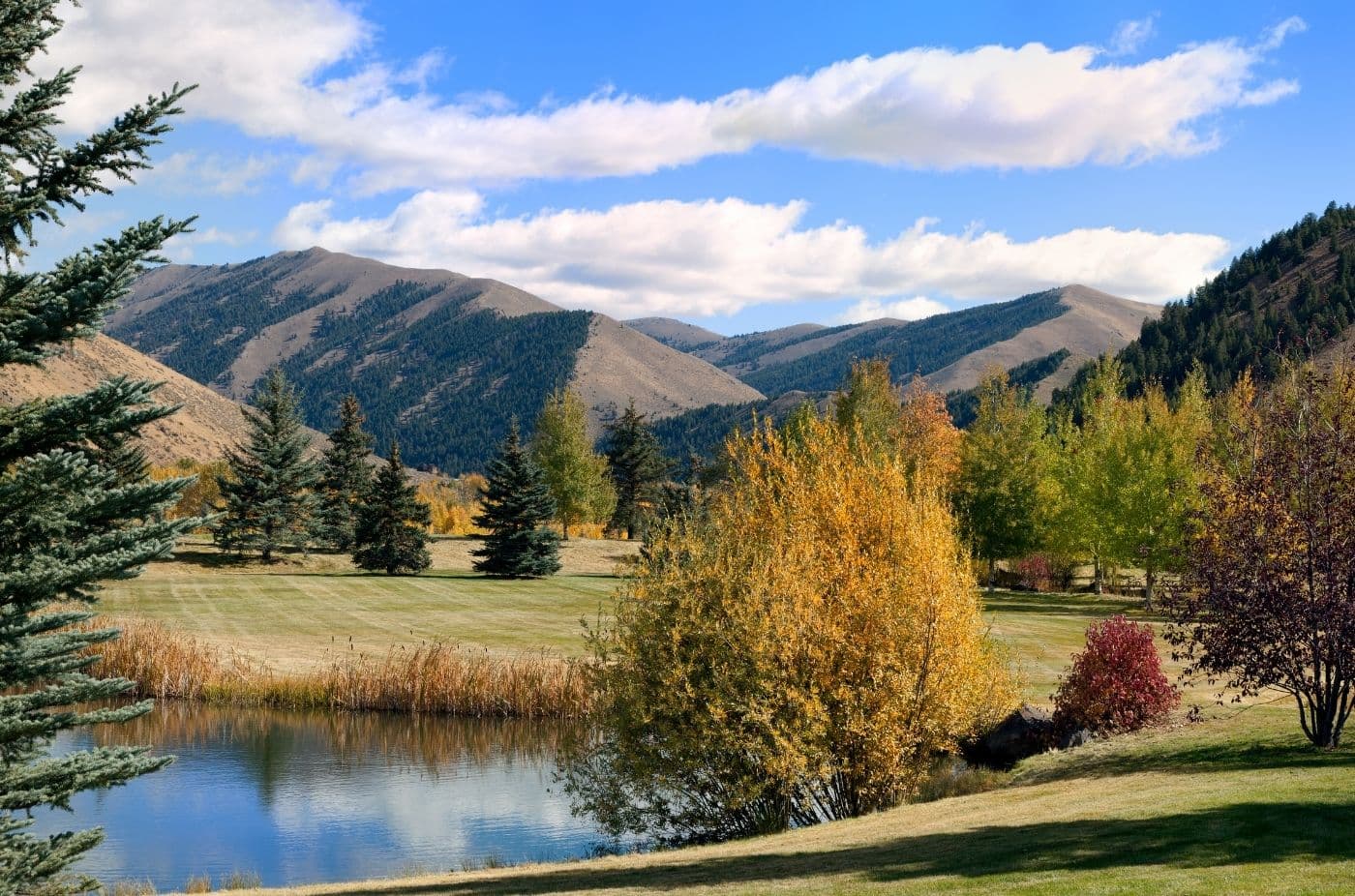 Sun Valley
