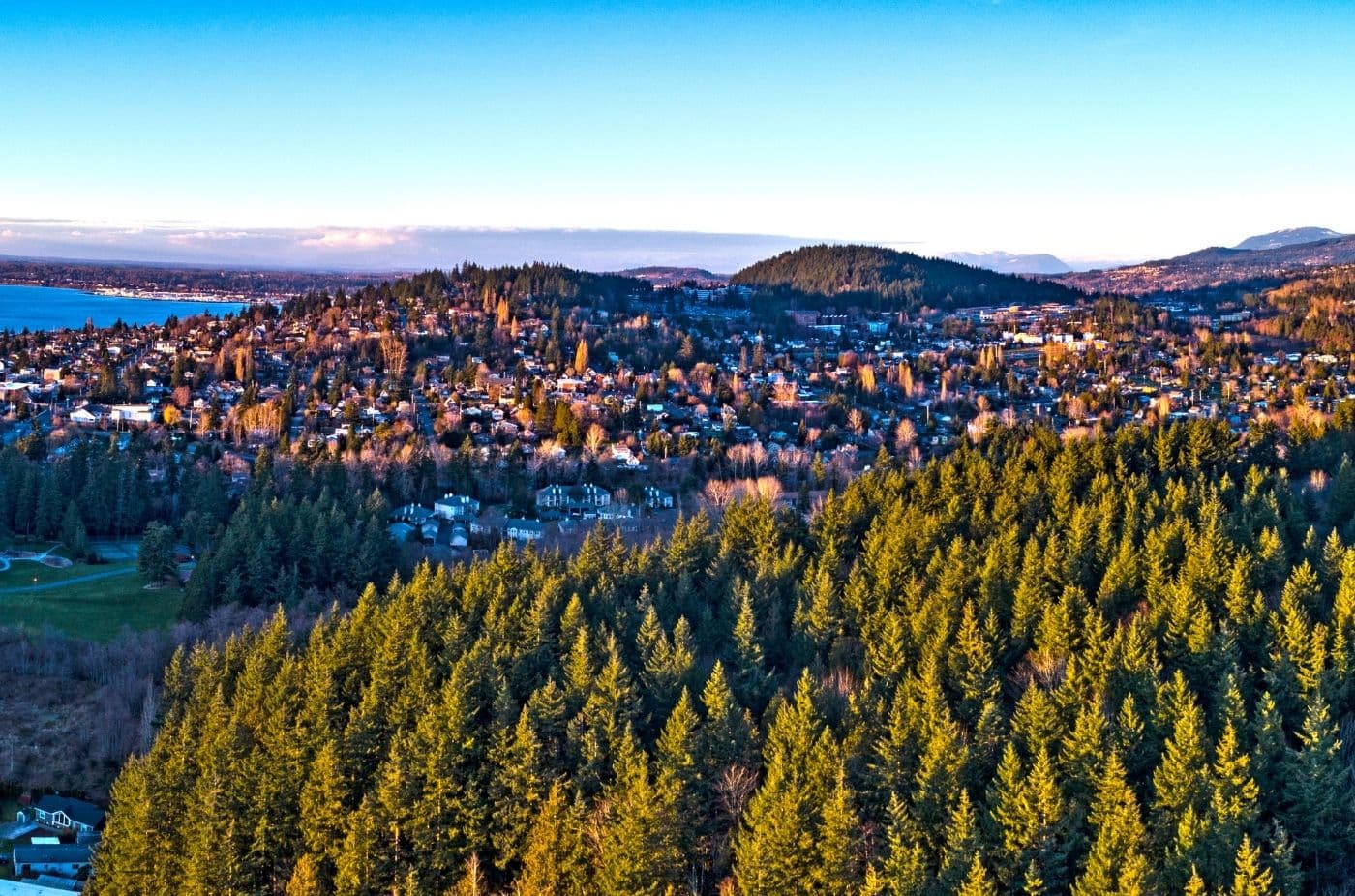 Bellingham