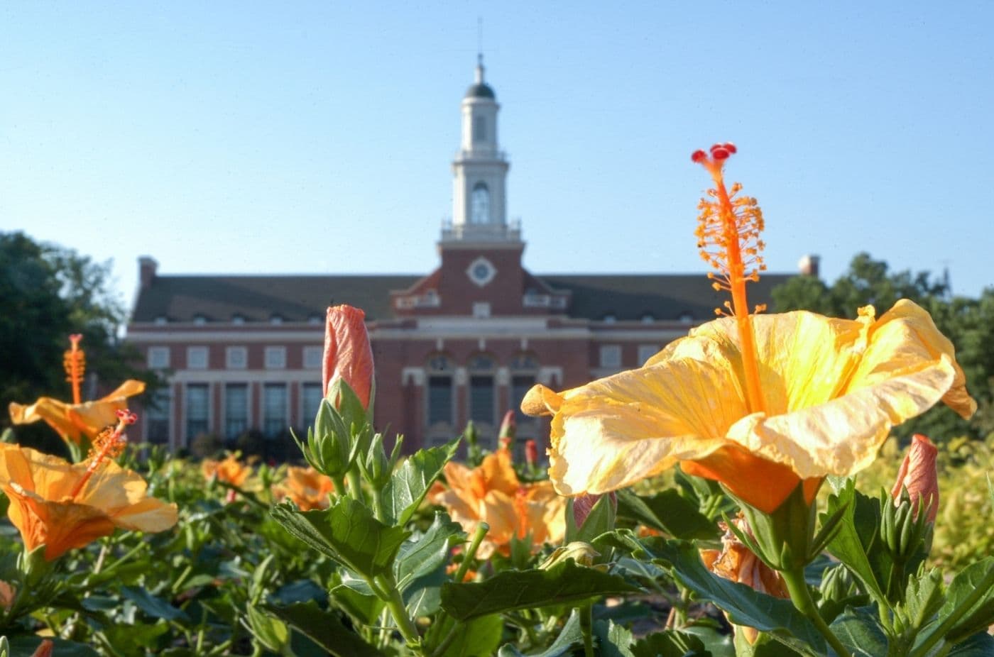 Stillwater
